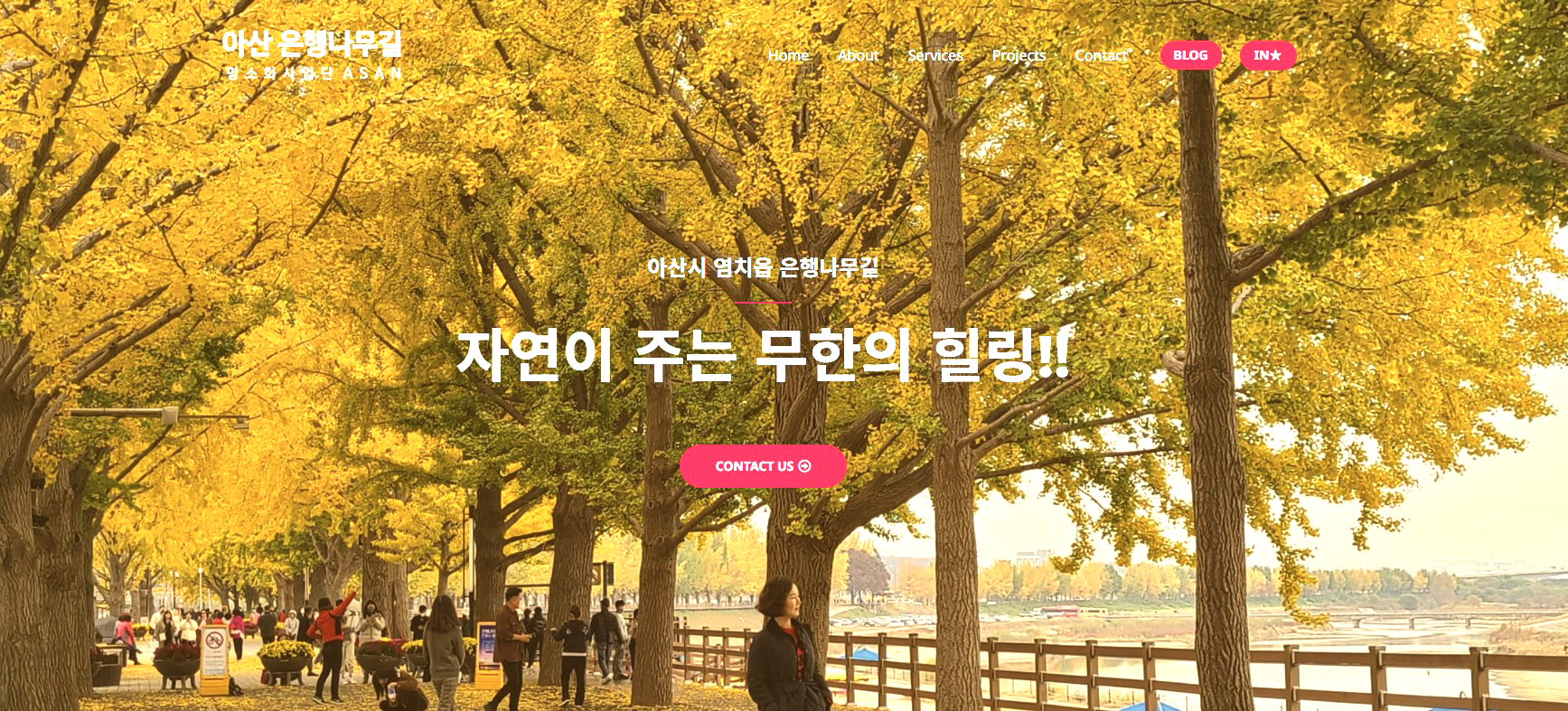 이미지 예시